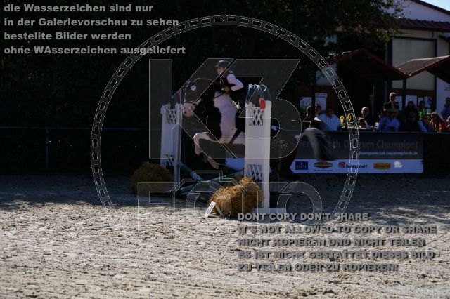 s_K3F03363.JPG